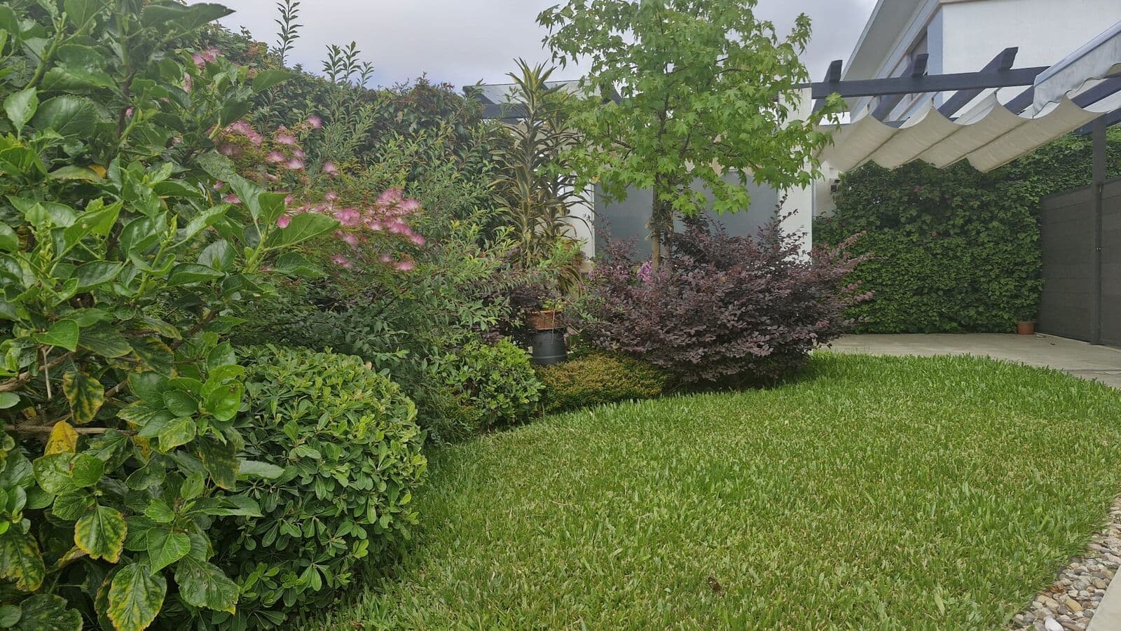 Maison isolée 4 + 1 pièces avec jardin, Alvide, Cascais - Image 30
