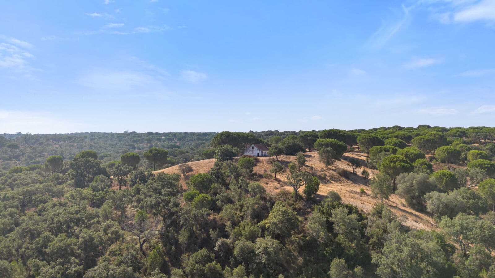 Herdade 176.6 ha, Montemor-o-Novo - Imagem 7