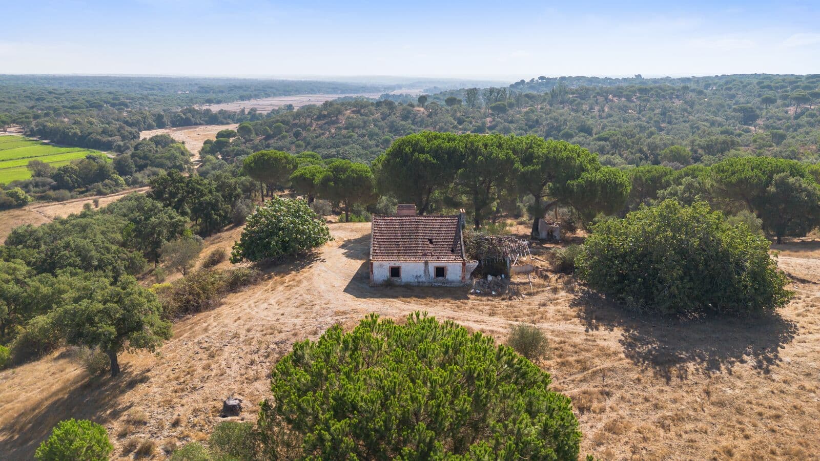 Herdade 176.6 ha, Montemor-o-Novo - Imagem 2