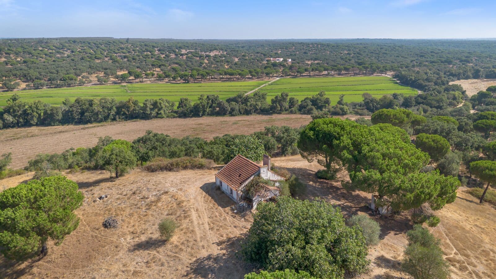Herdade 176.6 ha, Montemor-o-Novo - Imagem 3