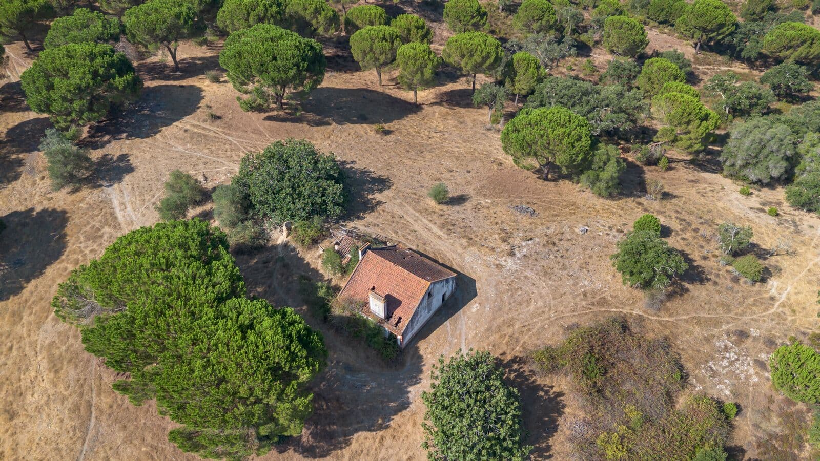 Herdade 176.6 ha, Montemor-o-Novo - Imagem 4