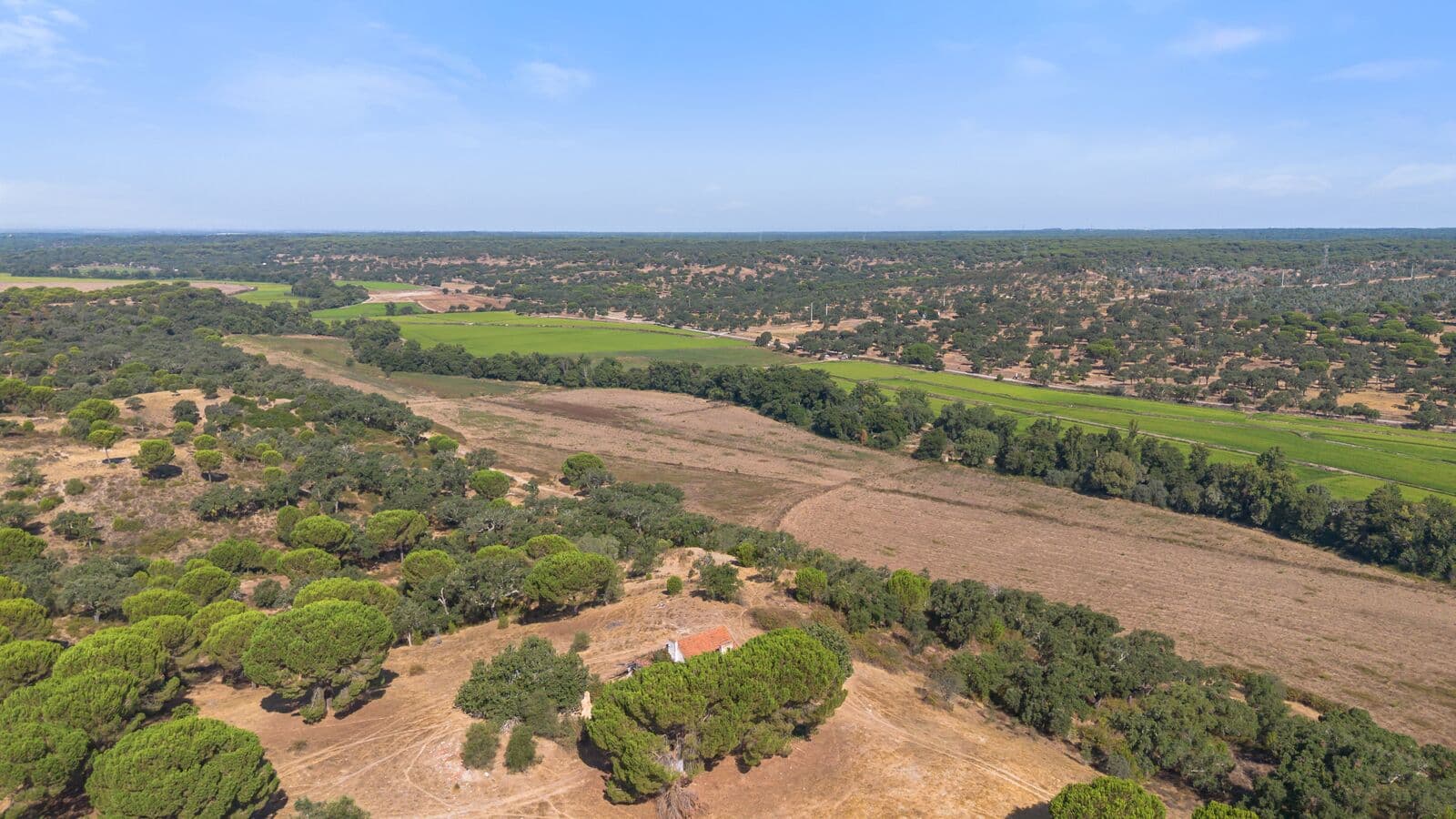 Herdade 176.6 ha, Montemor-o-Novo - Imagem 13