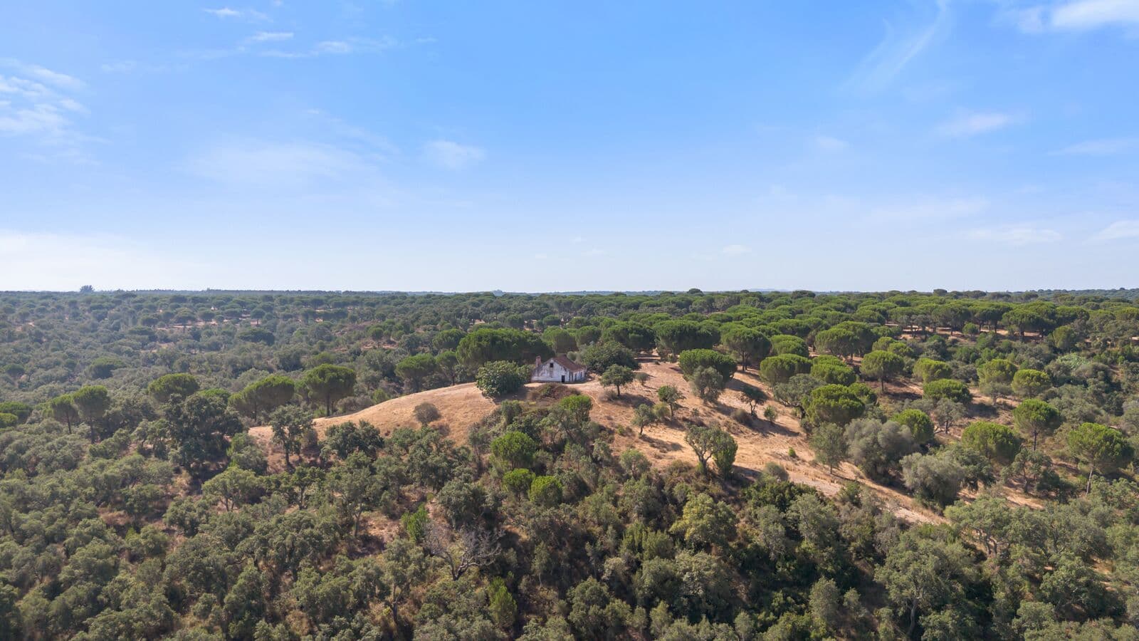 Herdade 176.6 ha, Montemor-o-Novo - Imagem 14