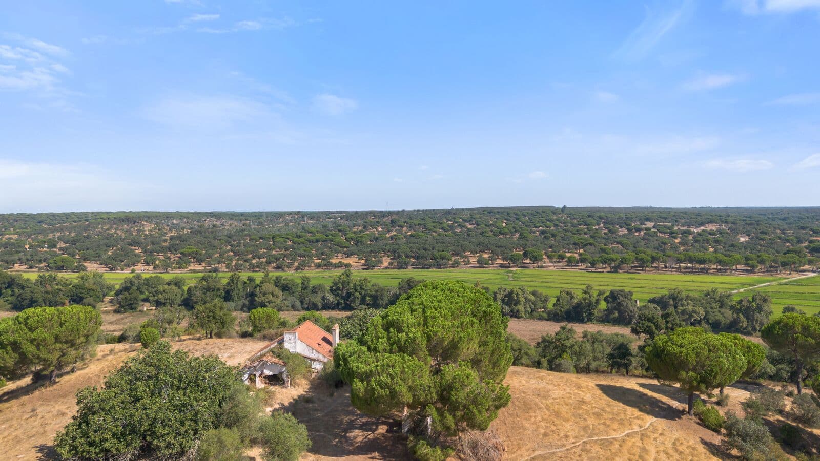 Herdade 176.6 ha, Montemor-o-Novo - Imagem 5