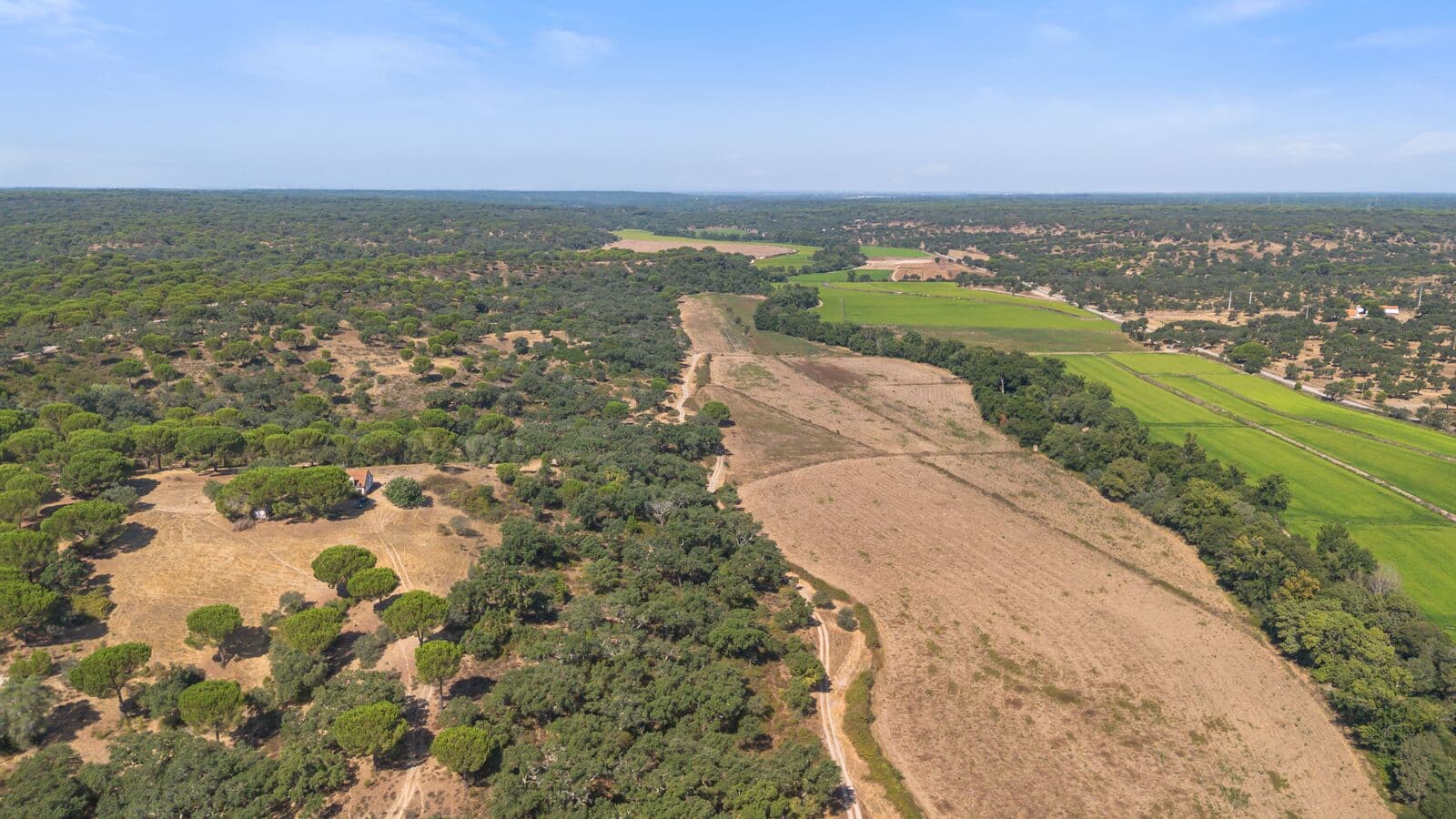 Herdade 176.6 ha, Montemor-o-Novo - Imagem 19