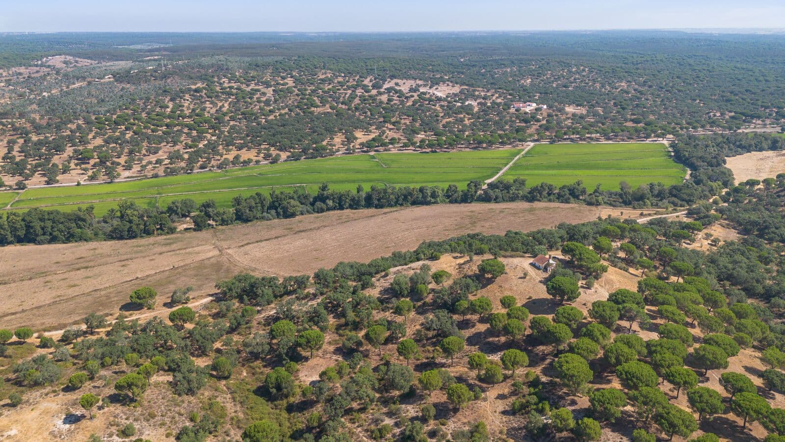 Herdade 176.6 ha, Montemor-o-Novo - Imagem 21