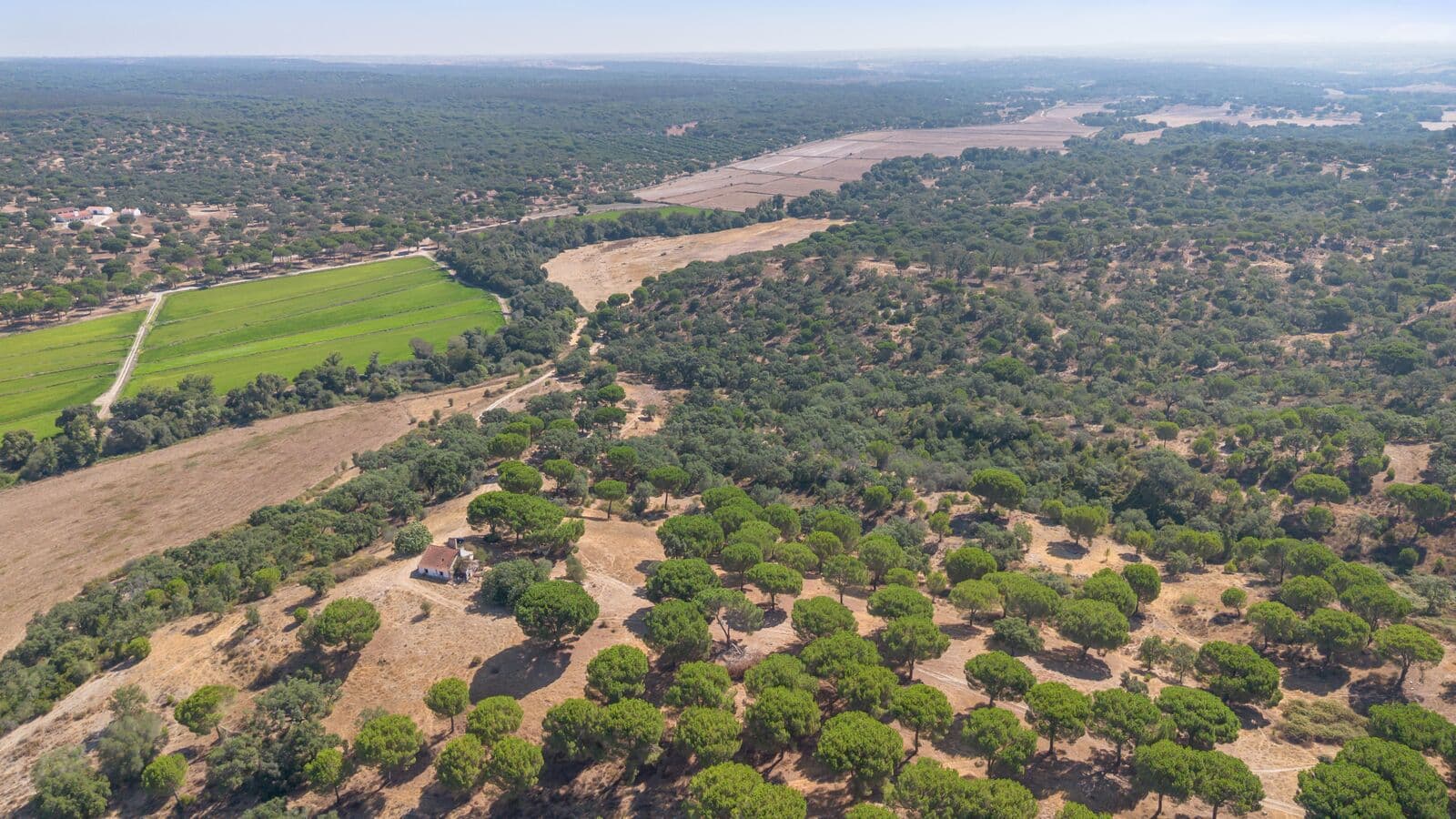 Herdade 176.6 ha, Montemor-o-Novo - Imagem 22