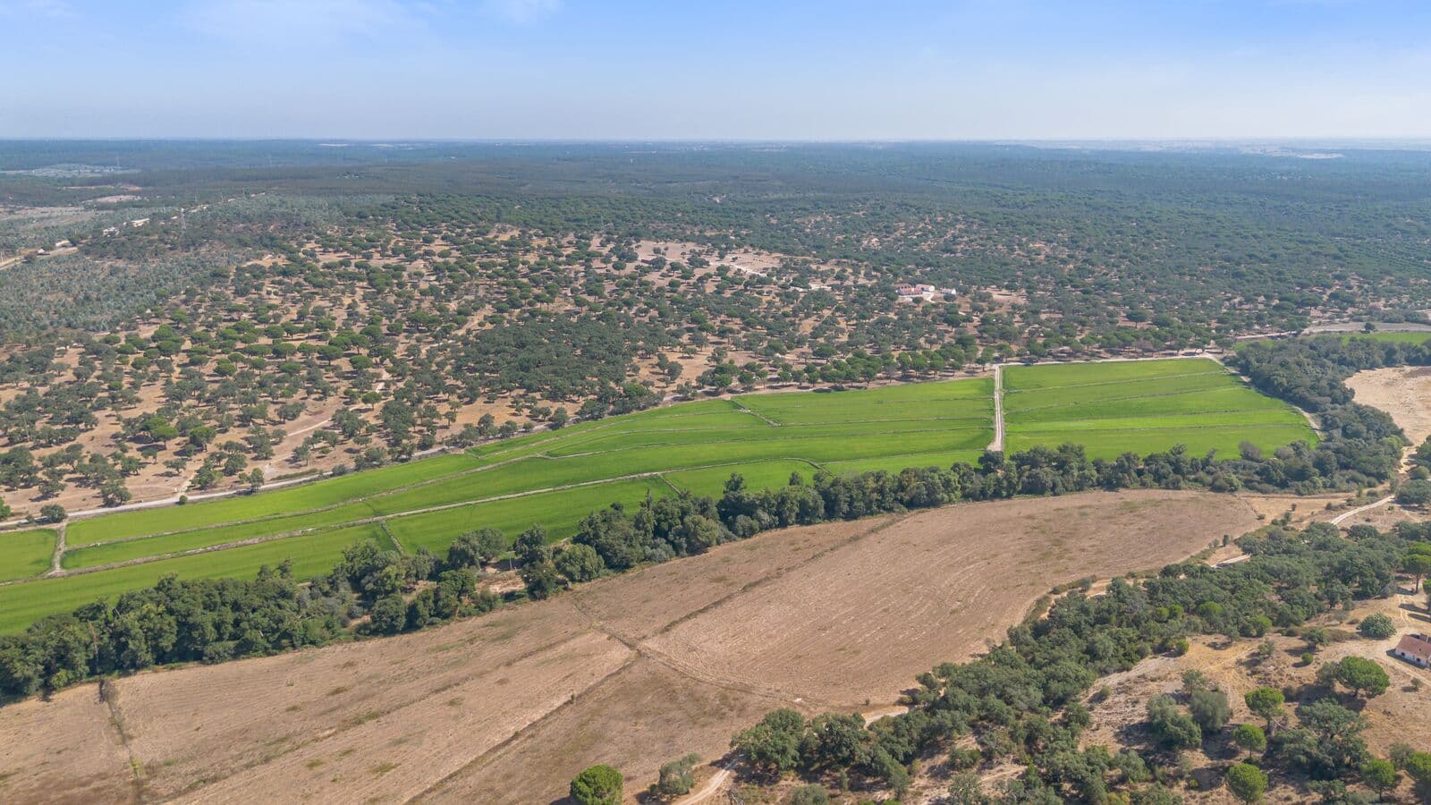 Herdade 176.6 ha, Montemor-o-Novo - Imagem 23