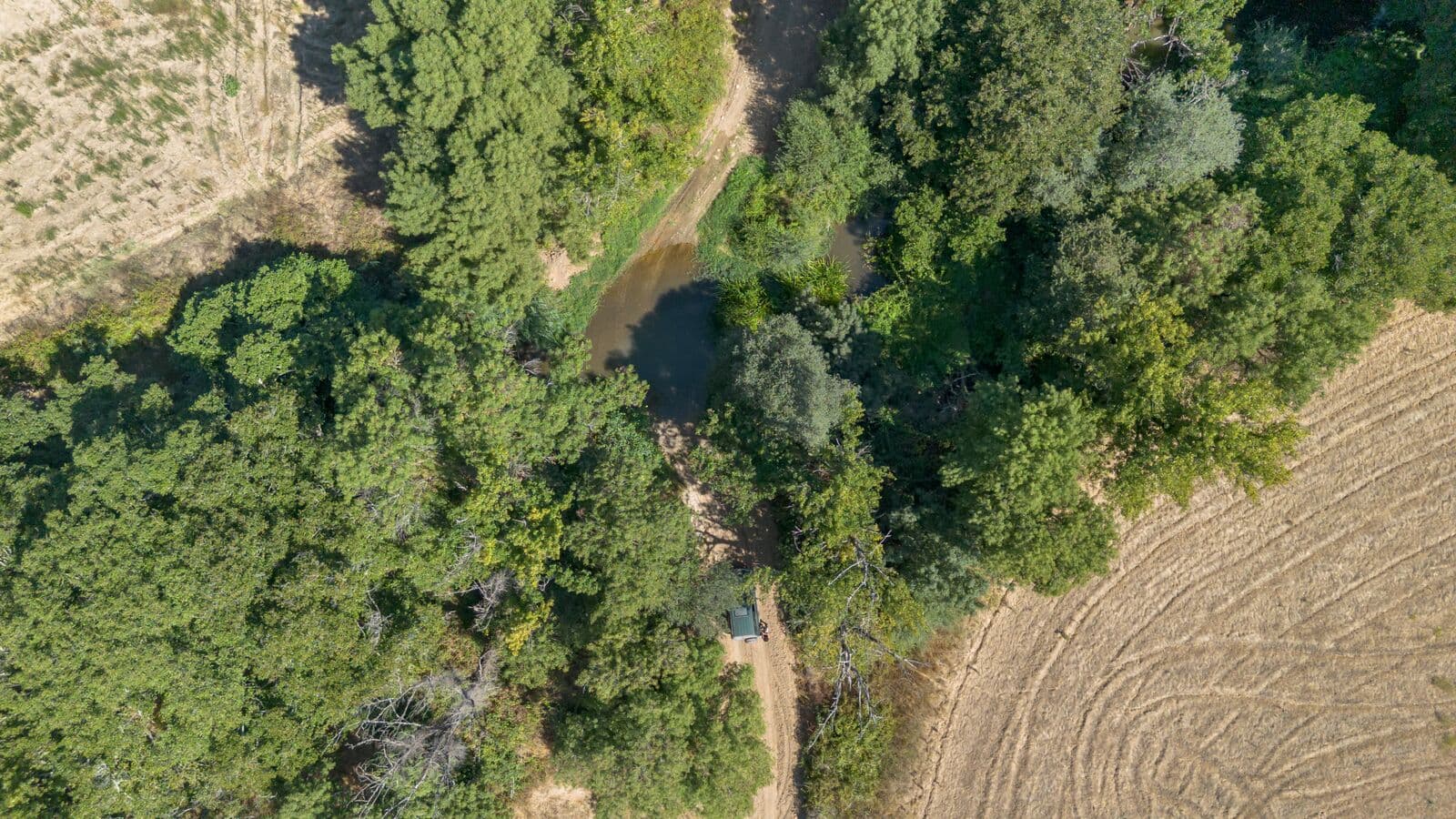 Herdade 176.6 ha, Montemor-o-Novo - Imagem 15