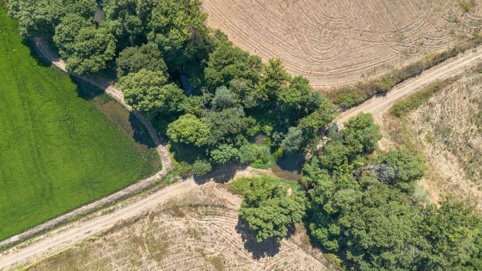 Herdade 176.6 ha, Montemor-o-Novo - Imagem 12