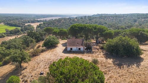 PF41106 - Herdade 176.6 ha, Montemor-o-Novo - Imagem 2