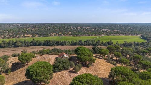 PF41106 - Herdade 176.6 ha, Montemor-o-Novo - Imagem 1
