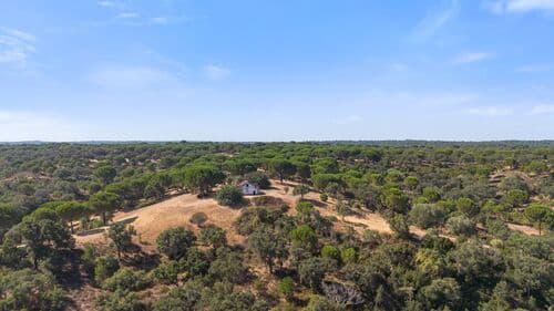 PF41106 - Herdade 176.6 ha, Montemor-o-Novo - Imagem 16