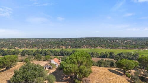 PF41106 - Herdade 176.6 ha, Montemor-o-Novo - Imagem 5