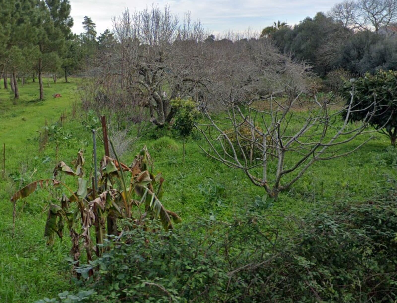 Urban land 1275 m2 - Image 6
