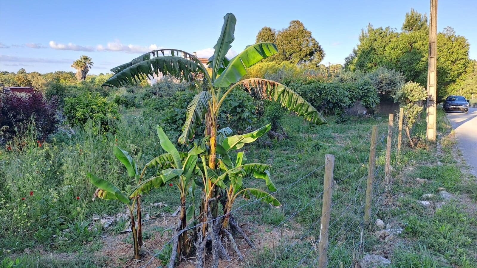 Urban land 1275 m2 - Image 4