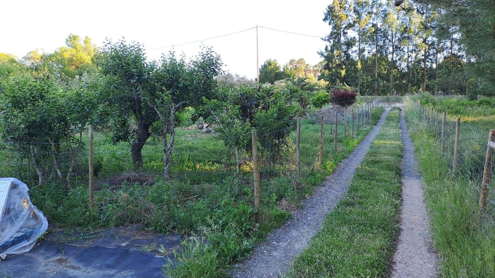 Urban land 1275 m2 - Image 2