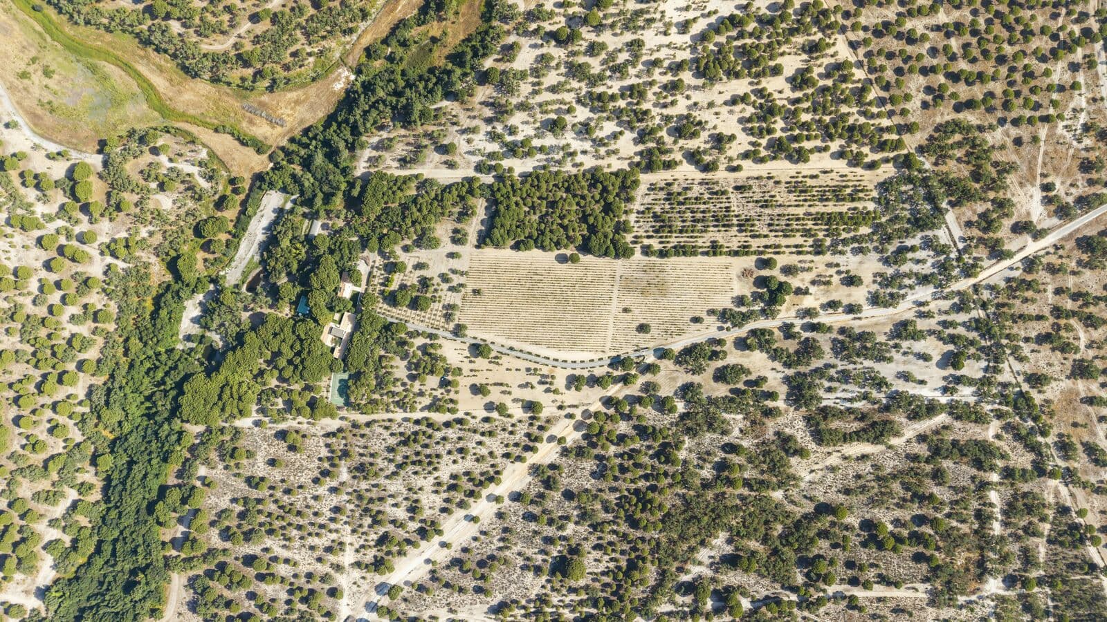Homestead 20.4 ha, Grandola - Image 38