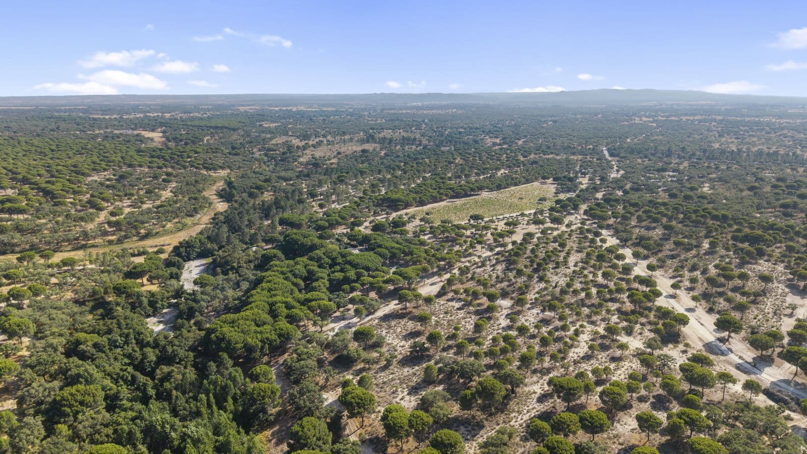 Homestead 20.4 ha, Grandola - Image 39