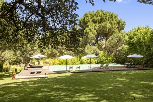 PF41137 - Herdade 20.4 ha, Grandola - Imagem 3