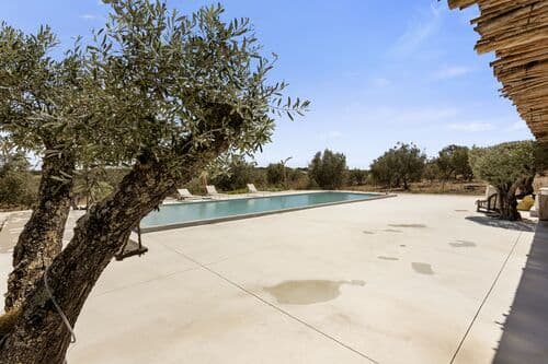 PF41335 - Farm 17.3 ha, Pavia, Mora - Image 35