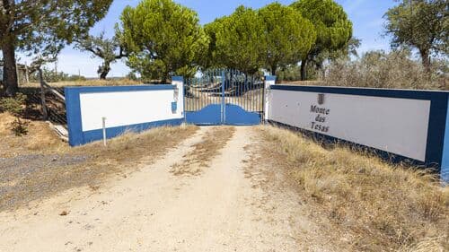 PF41335 - Farm 17.3 ha, Pavia, Mora - Image 28