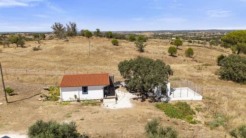 PF41335 - Farm 17.3 ha, Pavia, Mora - Image 33