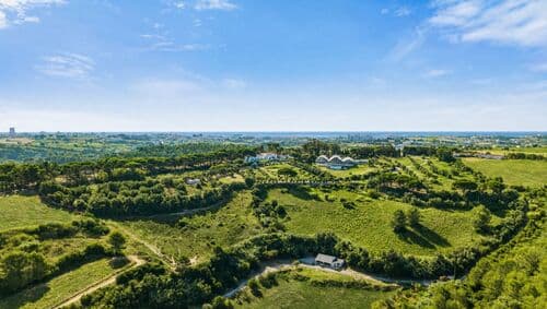 PF41336 - Farm 7.9 ha, Trafaria, Almada - Image 11