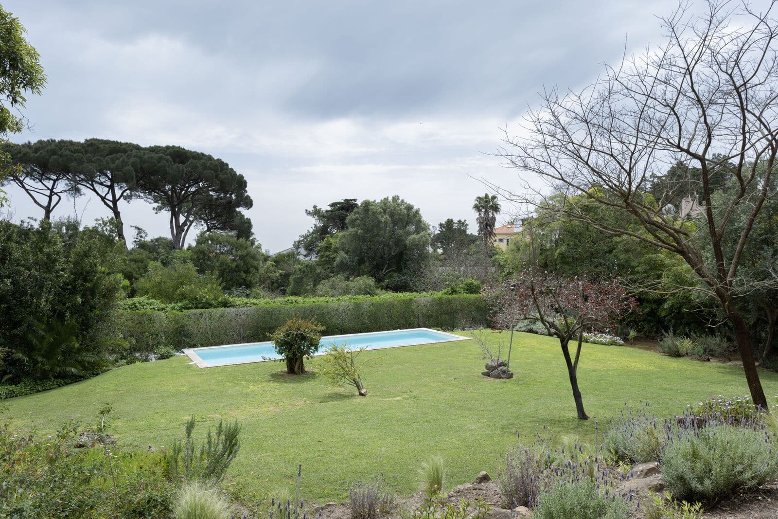 Moradia T5 com piscina, Estoril, Cascais - Imagem 61