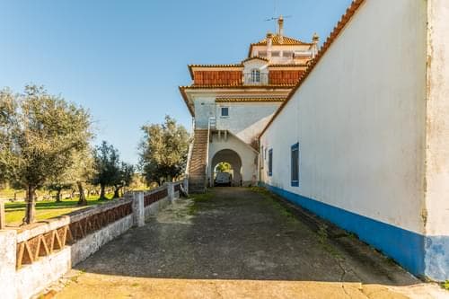PF29383 - Ferme 5.7 ha, Évora - Image 10