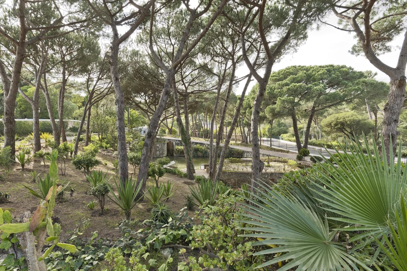 Moradia T6 com piscina, Estoril, Cascais - Imagem 12