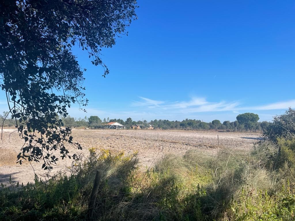 Terreno Misto 4.0 ha, Grandola - Imagem 19