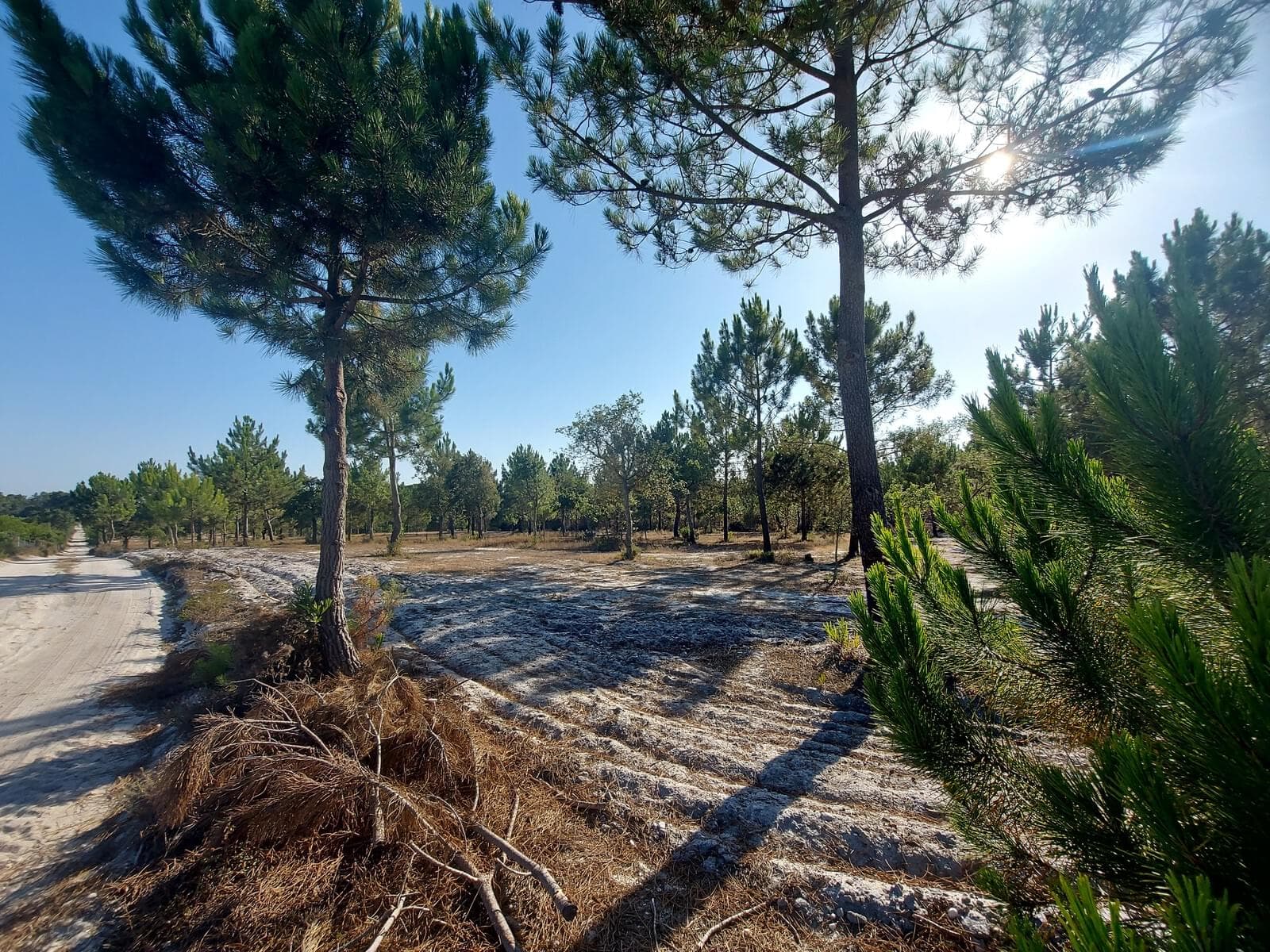 Terreno Rústico em Perímetro Urbano 1.3 ha, Lagoa de Santo André, Santiago do Cacem - Imagem 14