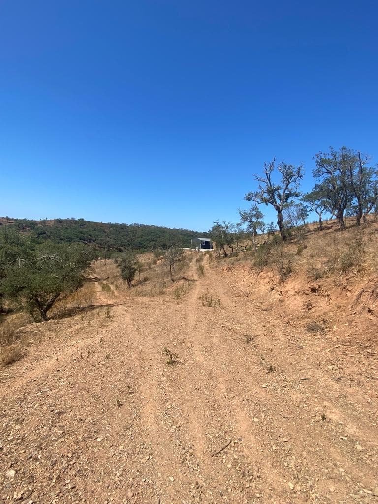 Terreno Rústico 5.8 ha, São Bartolomeu da Serra, Santiago do Cacem - Imagem 24