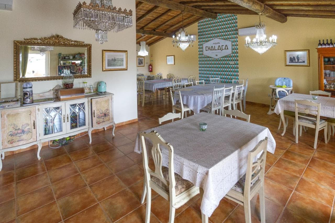 Quinta 2.8 ha, Ferreira do Alentejo - Imagem 12