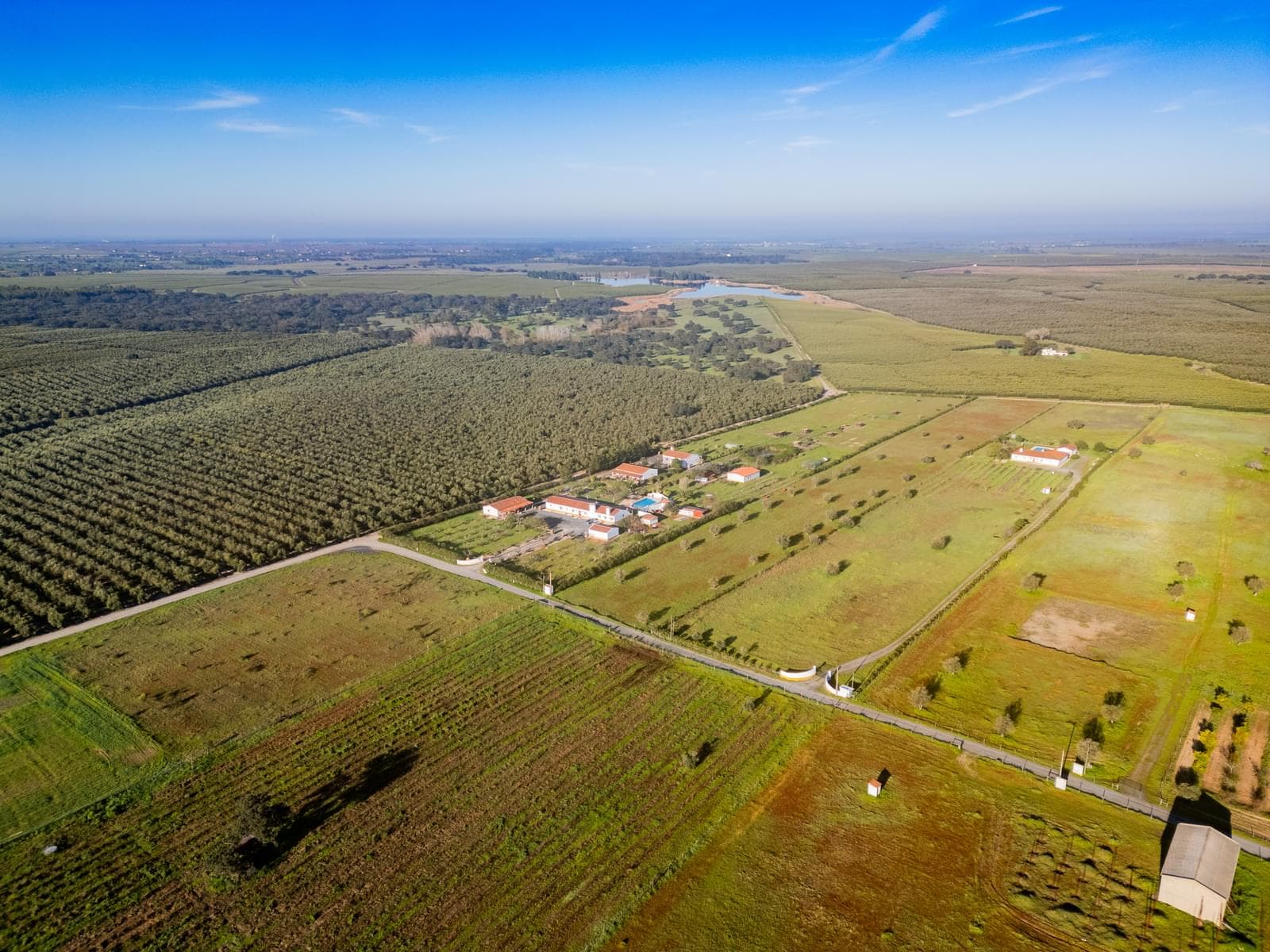 Quinta 2.8 ha, Ferreira do Alentejo - Imagem 65