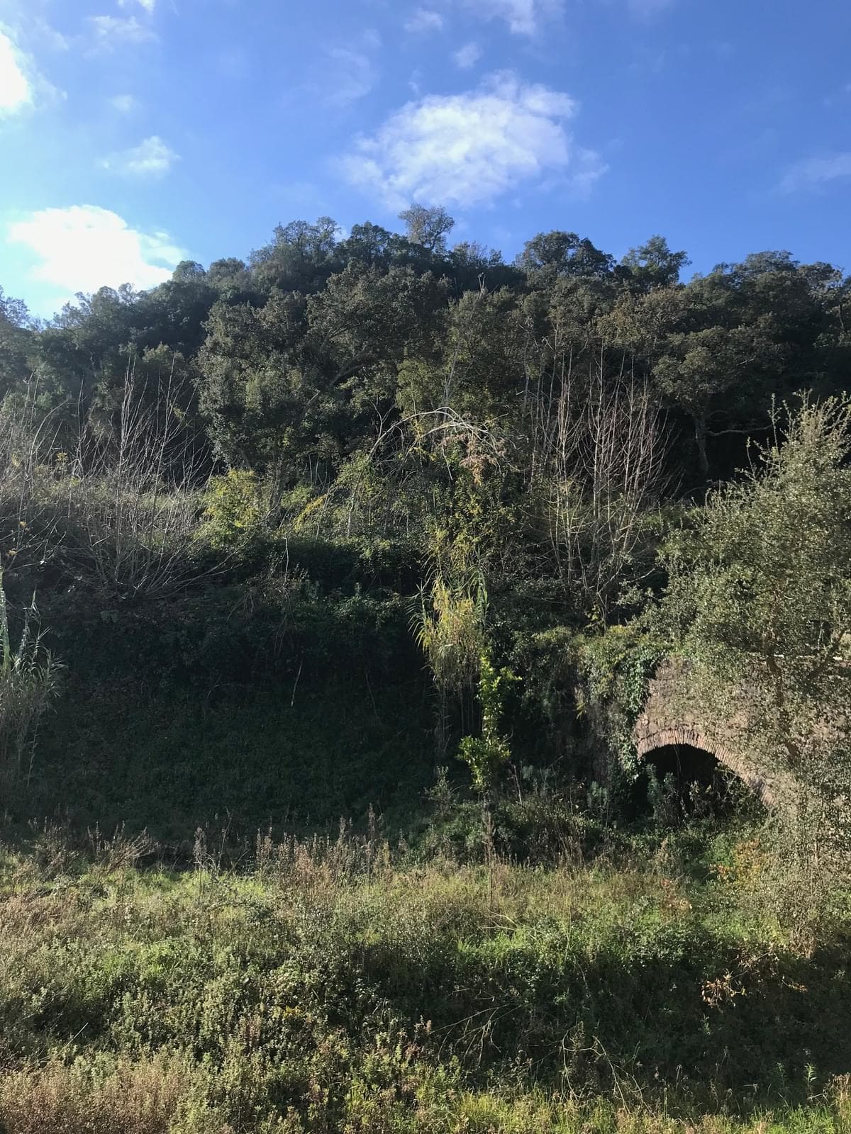 Herdade 3.7 ha - Imagem 43