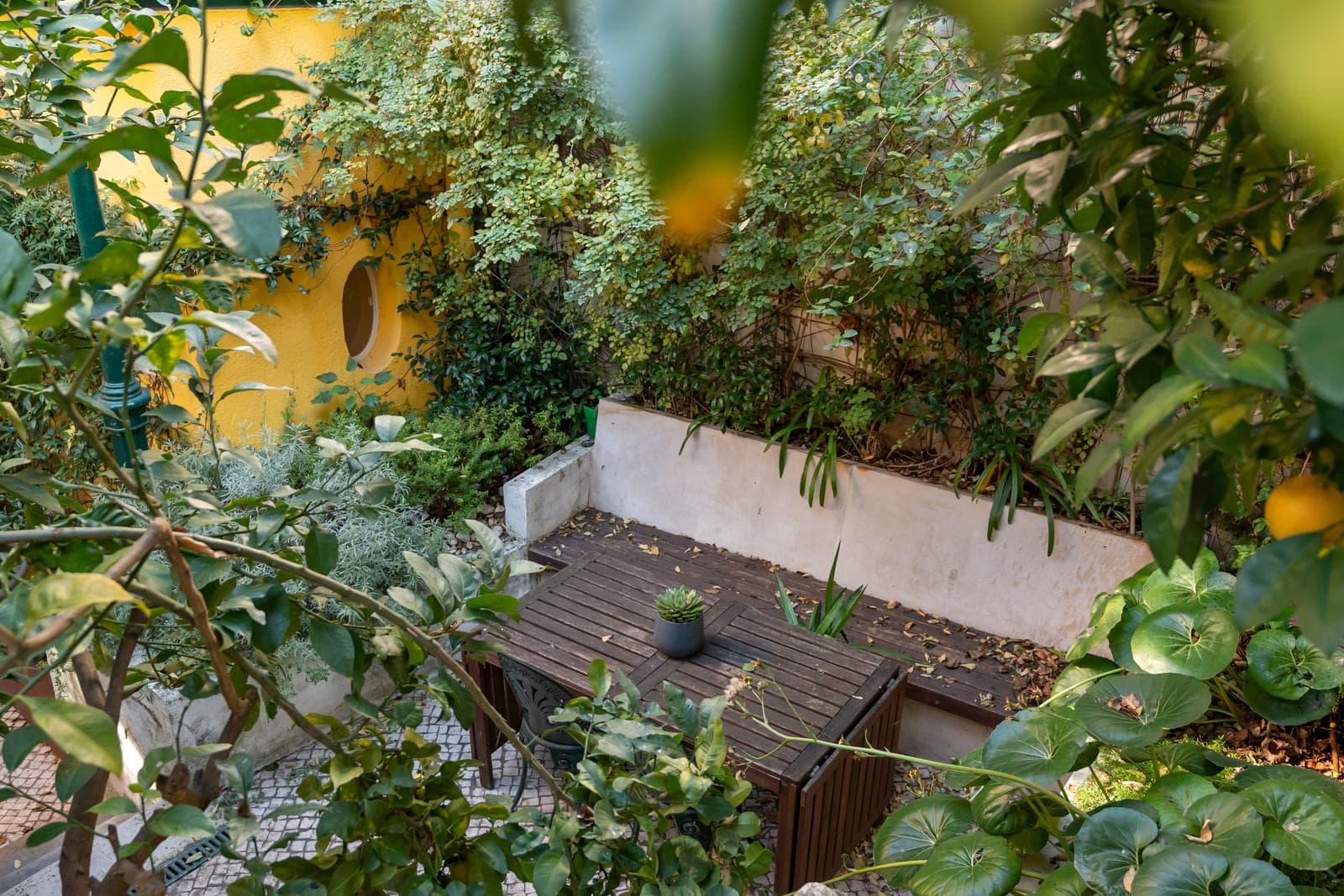Appartement 3 + 2 pièces avec jardin, Príncipe Real, Lisboa - Image 1