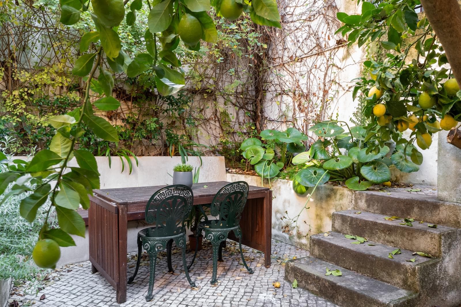 Appartement 3 + 2 pièces avec jardin, Príncipe Real, Lisboa - Image 2