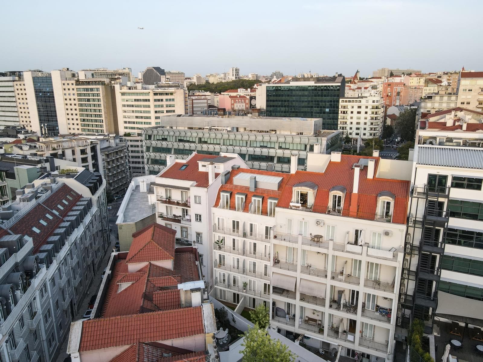 Sousa Martins Premium Apartments - Imagem 5