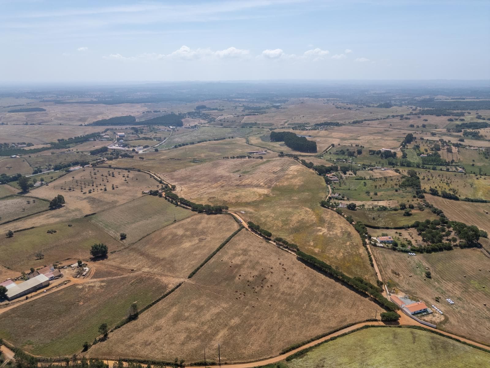Terreno Rústico 19.7 ha, Cercal do Alentejo, Santiago do Cacem - Imagem 2