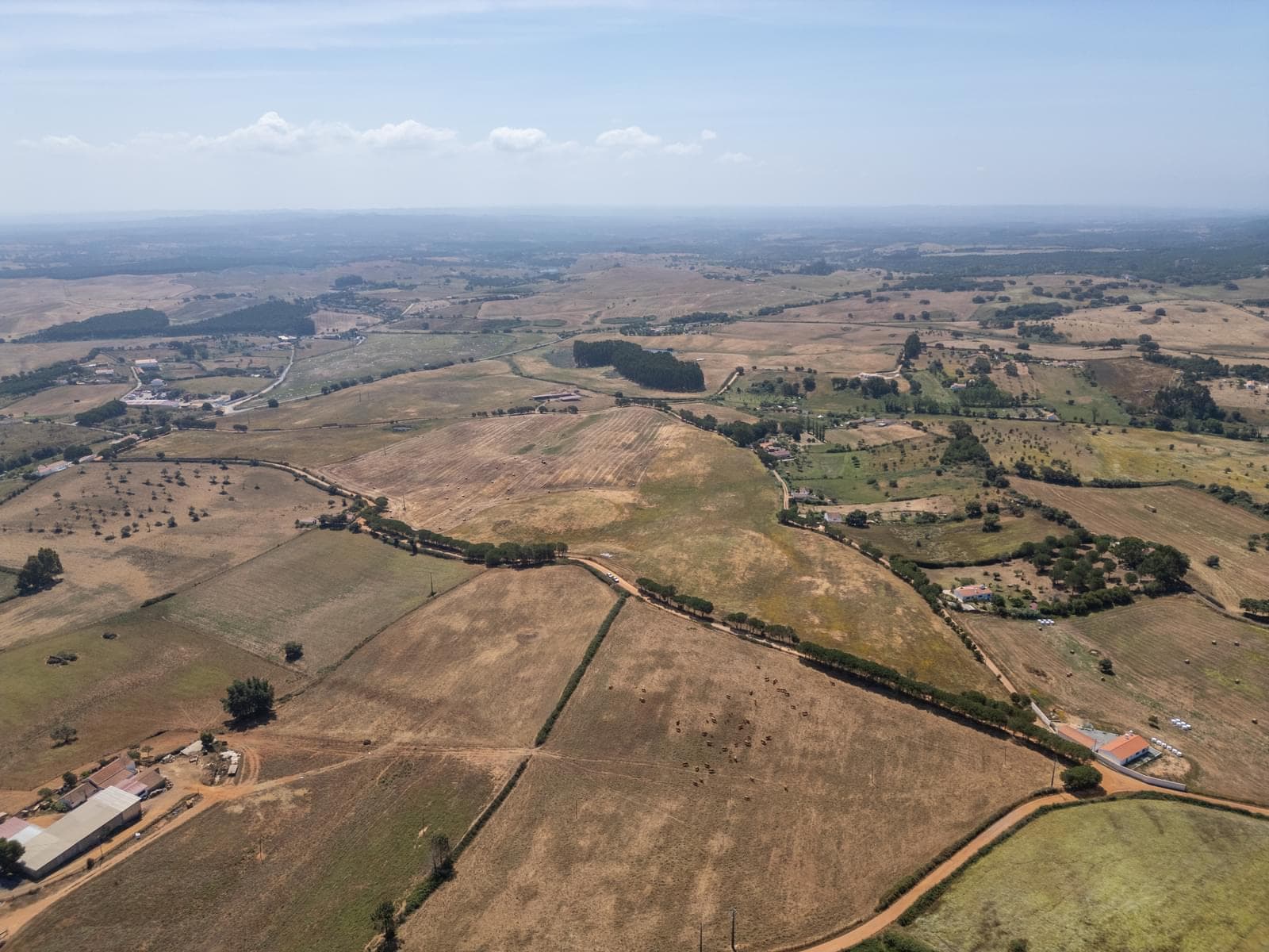 Terreno Rústico 19.7 ha, Cercal do Alentejo, Santiago do Cacem - Imagem 3