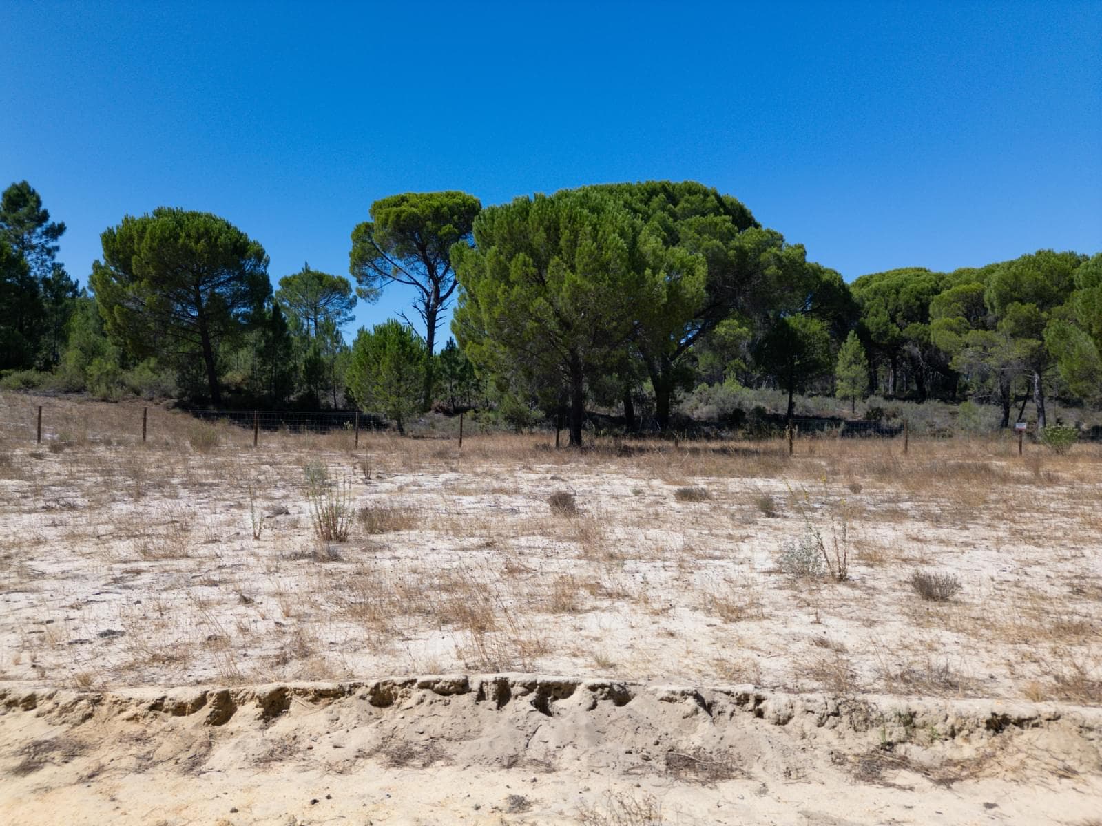Terreno 9.4 ha, Muda, Grandola - Imagem 3
