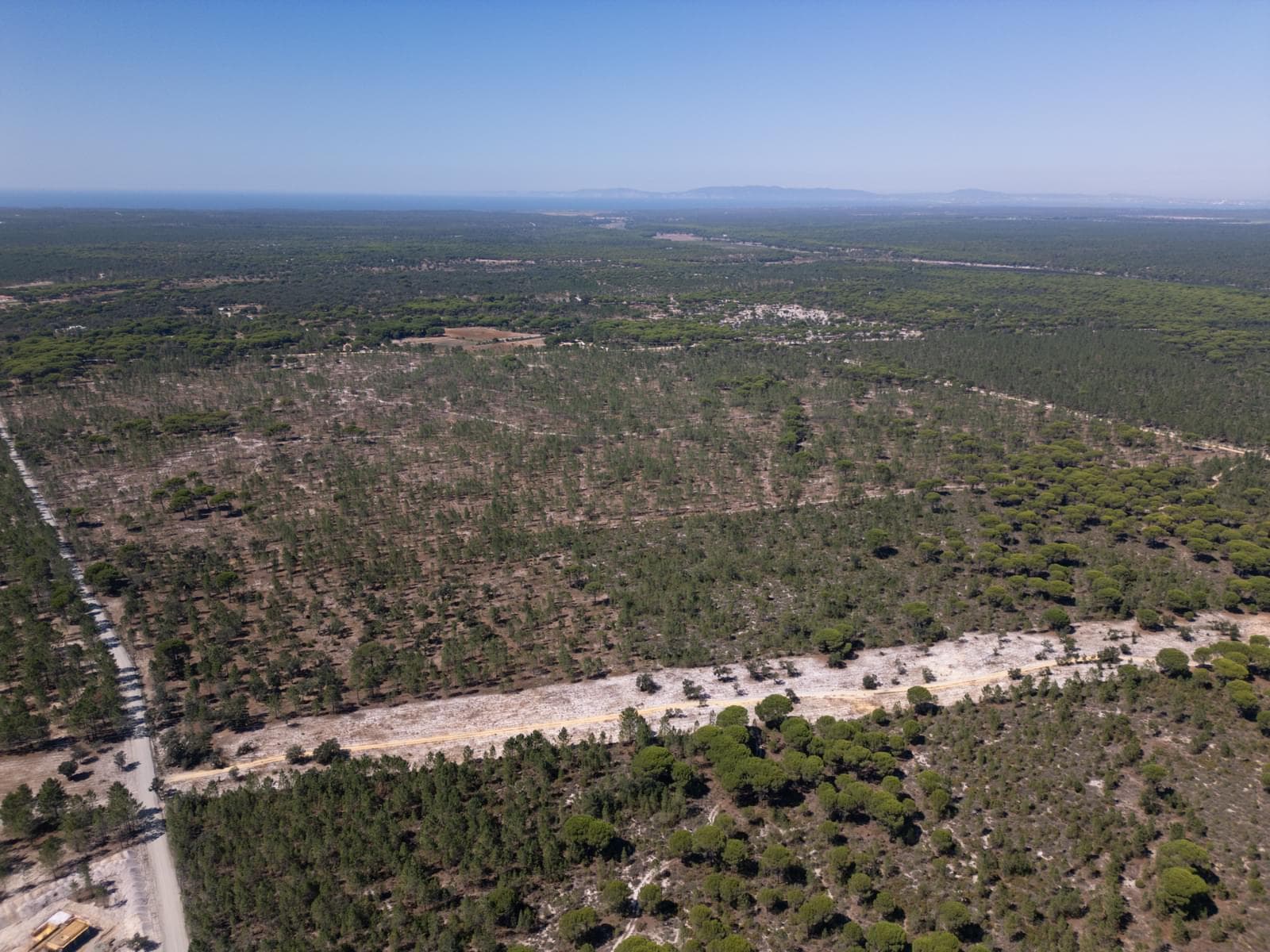 Terreno 9.4 ha, Muda, Grandola - Imagem 8