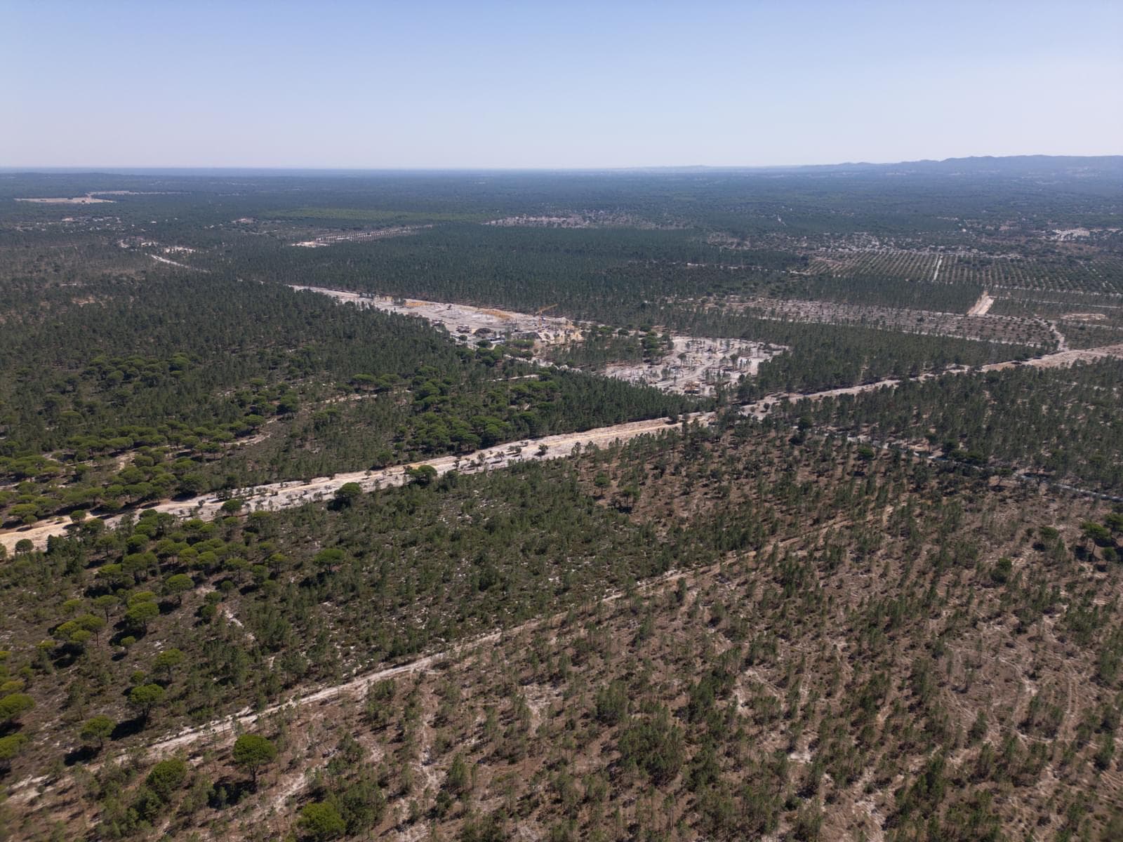 Terreno 9.4 ha, Muda, Grandola - Imagem 25