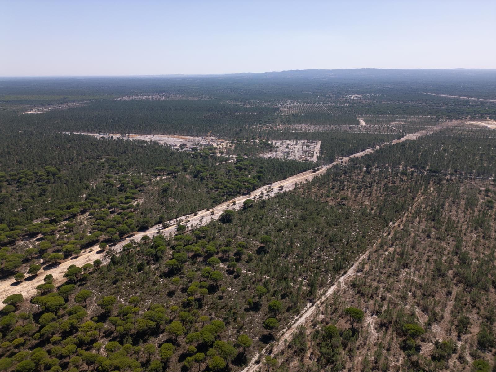 Terreno 9.4 ha, Muda, Grandola - Imagem 20