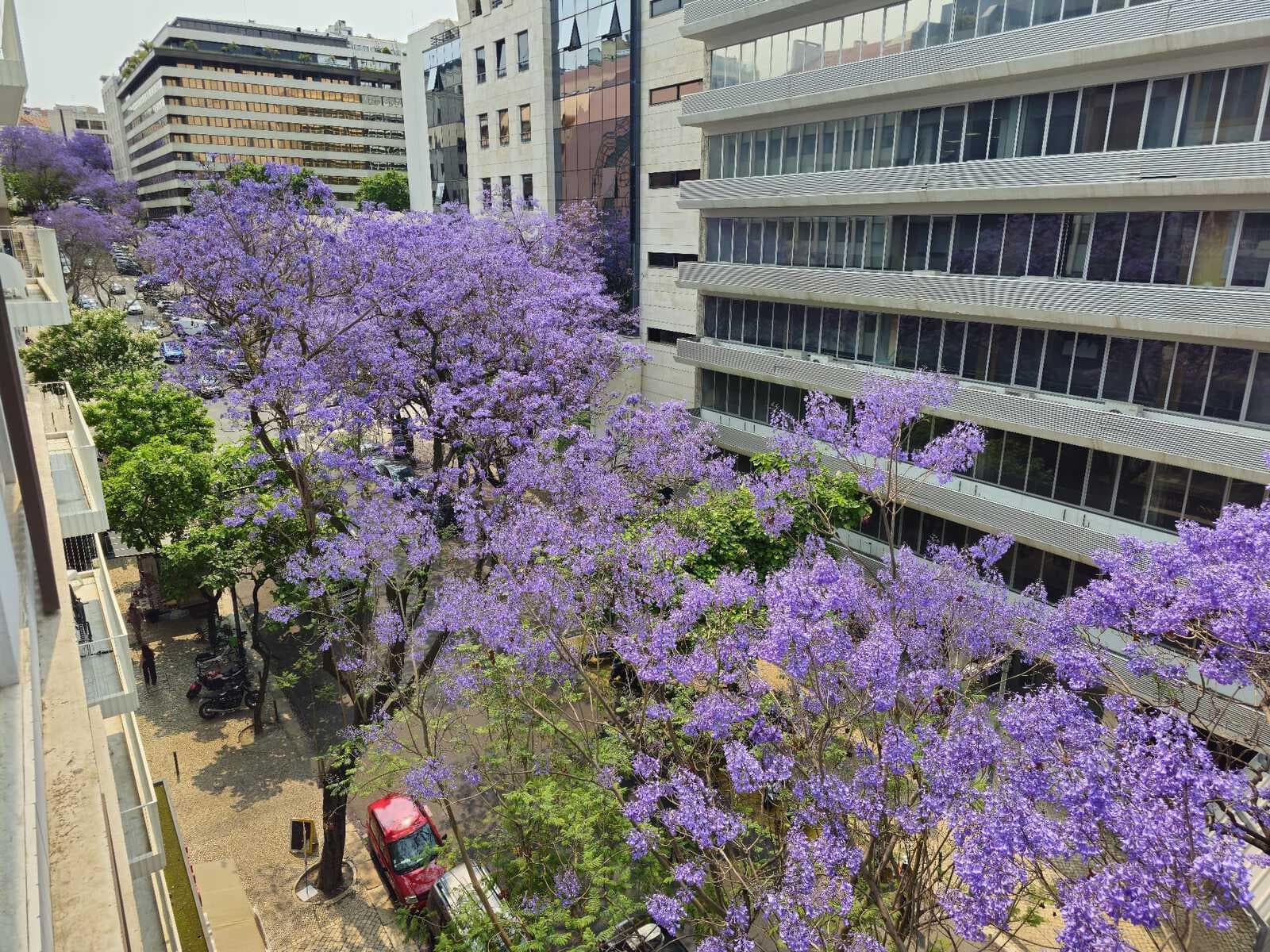 Apartamento T1 com estacionamento, Avenida da Liberdade, Lisboa - Imagem 18