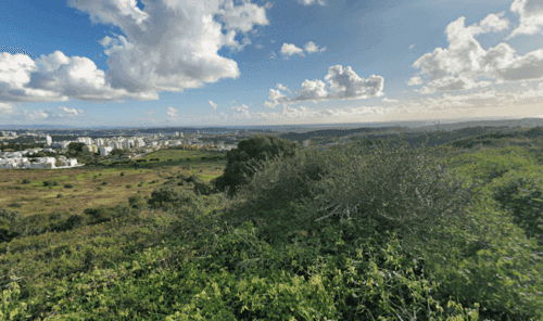 PF37817 - Terreno 8.3 ha, Oeiras - Imagem 2