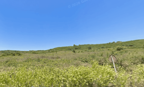 PF37817 - Terreno 8.3 ha, Oeiras - Imagem 5