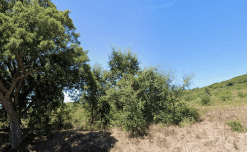 PF37817 - Terreno 8.3 ha, Oeiras - Imagem 6